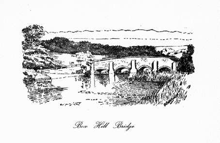 Box Hill Bridge