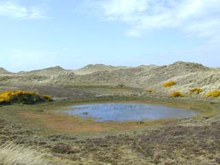 habitat